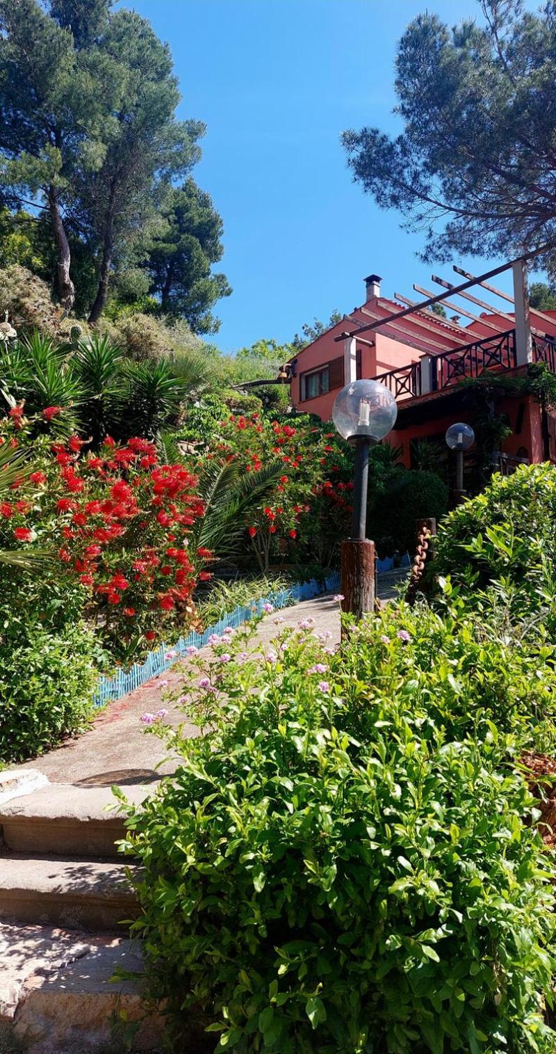 Villetta Dei Fichi D'India Rio dellʼElba المظهر الخارجي الصورة